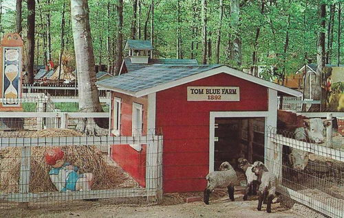 Deer Forest - Old Postcard (newer photo)